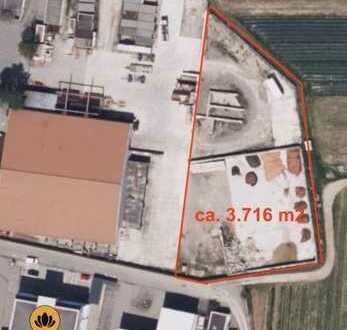 € 1,5 pro m2/Monat. Gr. Freifläche mit ca. 3.716 m2 in Friedrichshafen Industriegebiet zu vermieten