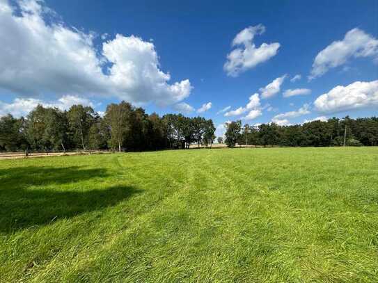 Moderne Reitanlage auf 9,7 ha, Halle, Platz, 20 Boxen, 450 m² Wfl. EFH +3 Whg. Fernwärme, PV Anlage!