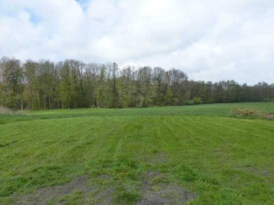 Massivhaus inkl. Grundstück