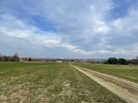 Landwirtschaftsfläche - Grünland mit Segelfluglandebahn - "Im Moos" Tirschenreuth