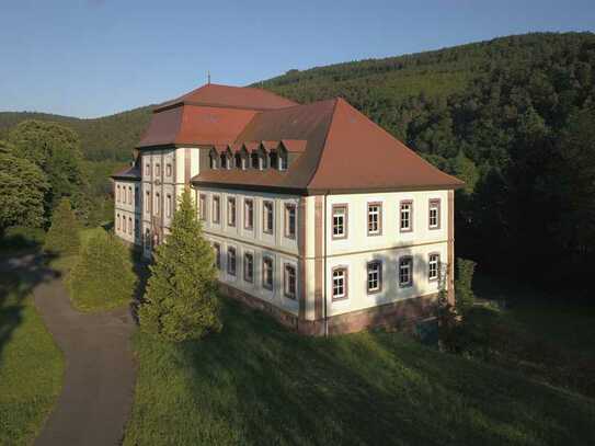 Schloss Fechenbach in Bayern
 - Majestätisches Barockschloss 
aus dem 18. Jahrhundert