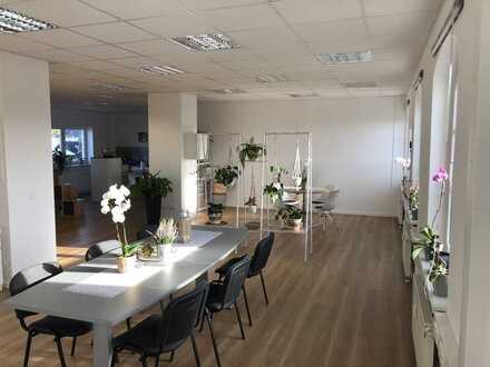 Moderne Bürofläche in Radebeul-Ost zu vermieten