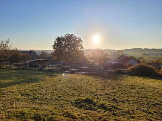 Bauernhof in traumhafter ruhiger Ortsrandlage in Weihungszell. Familien- und Tierparadies!
