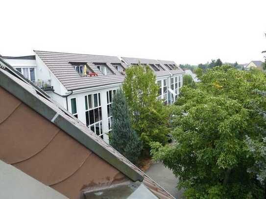 Geräumige 1-Zi-Wohnung mit Balkon und grüner Aussicht im Cottbuser Süden zu vermieten!