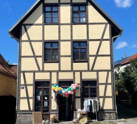 Geräumiges, gepflegtes 7-Zimmer-Mehrfamilienhaus mit geh. Innenausstattung in Leipzig Kleinzschocher