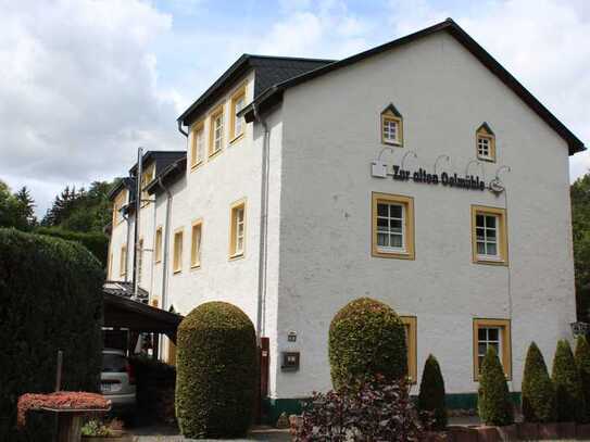 Historisches Mehrfamilienhaus mit Gaststätte und Baugrundstück im schönen Blankenheim!