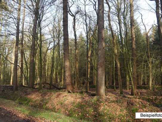 15,65 ha Wald-, Acker- und Grünlandflächen - auch in Teilflächen - zu verkaufen!