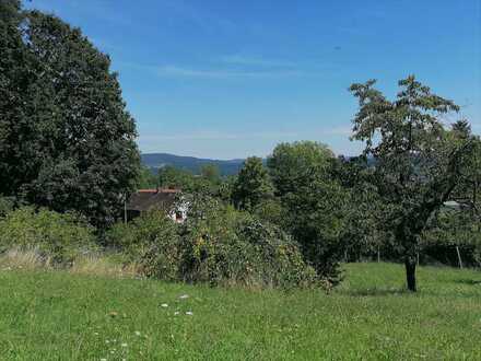 Verborgenes Juwel für Naturliebhaber und Individualisten - Großes Grundstück mit Altbestand in Orts