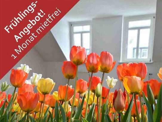 +++ 1 Monat mietfrei! 2-Zimmer-Wohnung im Dachgeschoss in Campusnähe! +++