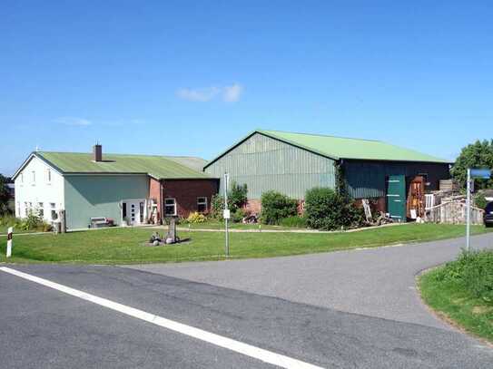 Beste LAGE, guter ZUSTAND, schöner CHARAKTER: Gepflegter Resthof in Friedrichskoog / Nordsee