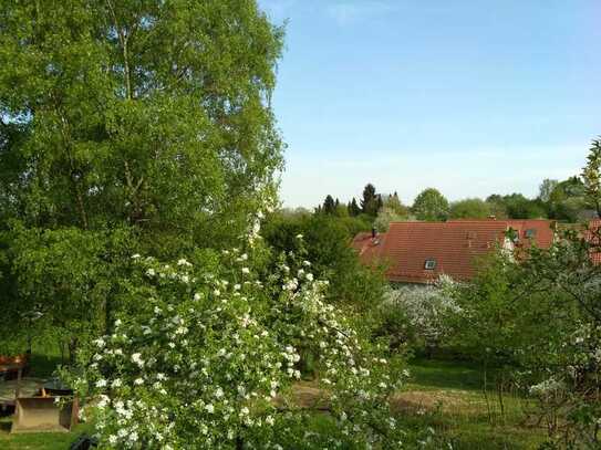 Flat in Gaiberg near Heidelberg with great nature views