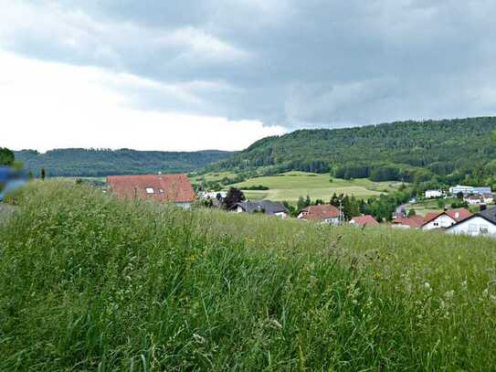 **In Waldrandlage** Baugrundstück mit herrlicher Aussicht