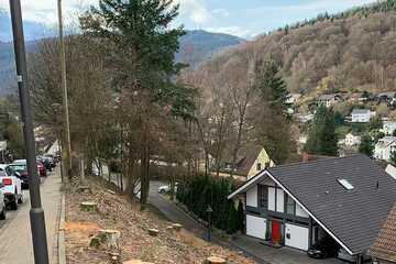 Grundstück in Heidelberg in malerischer und reizvoller Umgebung