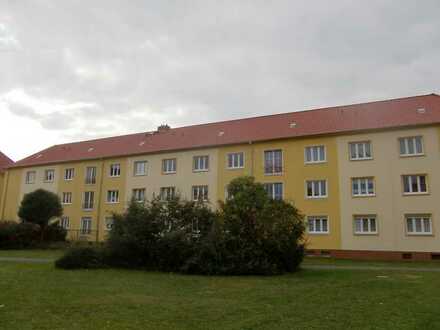 Geräumige 2-Raumwohnung in der Altstadt