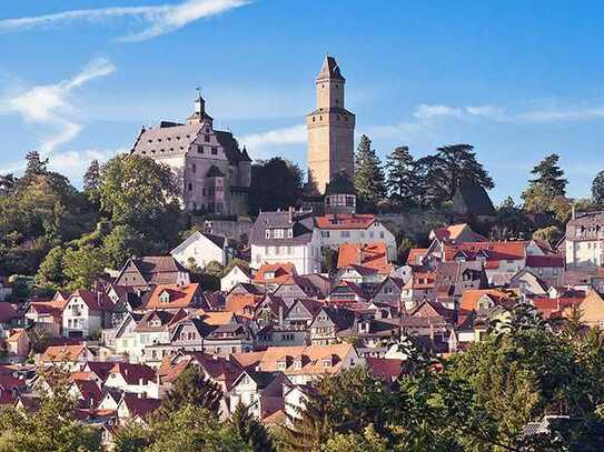 💥KRONBERG IM SCHÖNEN TAUNUS & RUHIGER, BESTER LAGE💥