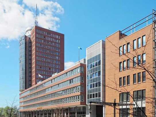 Große Terrasse mit Blick über den Hamburger Hafen! Neues Büro zwischen Baumwall und Elphi mieten.