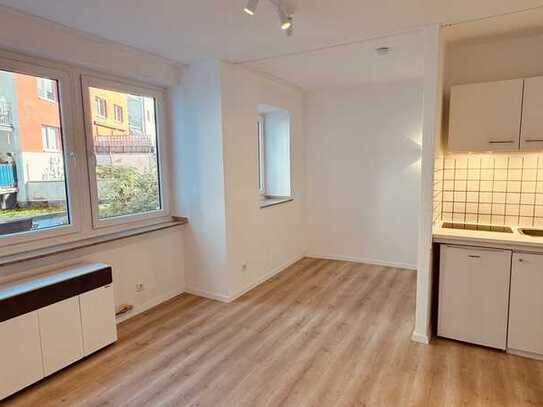 Schönes helles teimöbiliertes 1 Zimmer, Küche, Diele, Bad, Apartment, kompl. neu renoviert