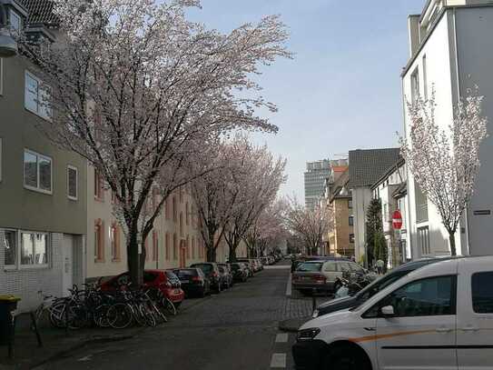 Perfekte Studentenwohnung - Saniertes Appartement in Sülz inkl. Stellplatz - Wohnen in Uninähe