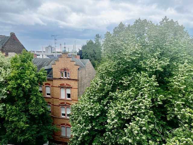                                                               Renovierte, grossz&uuml;gig geschnittene 5 Zi. Altbauwohnung mit Einbauk&uuml;che !                                                       in Höchst (Frankfurt am Main)