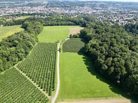 Ackerland und Grünflächen in der Ravensburger Weststadt