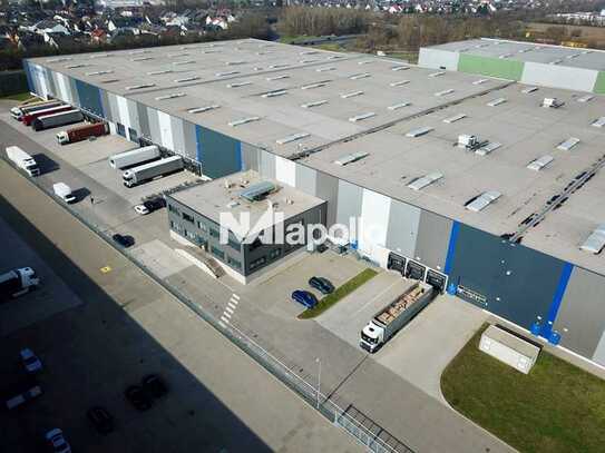 ca. 8.500 m² Halle | Bezug: ab sofort | hochwertig | modern | Rampen- & ebenerdige Tore