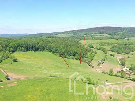Grünland (ca. 1,6 ha) bei Elmenthal