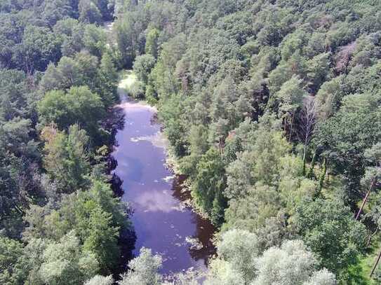 Waldgrundstück mit Teich in Jembke (Gifhorn)