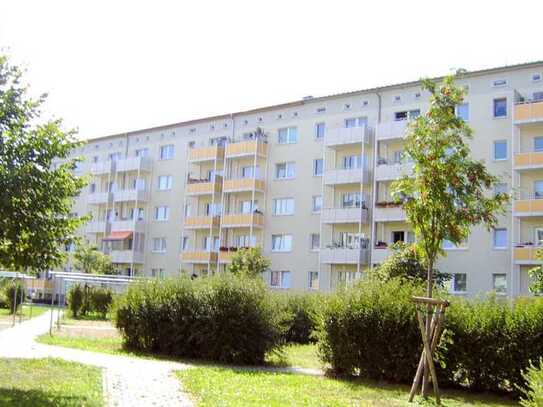 *** 2 Raum Wohnung mit Balkon, Eilenburg-Berg***