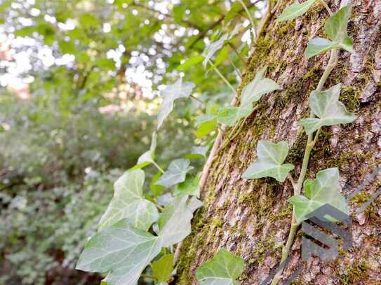 Grün • Privat • Unbebaut | Baugrundstück für Gartenliebhaber