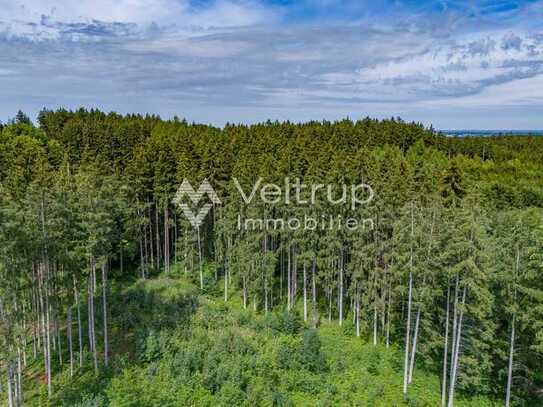 HEINRICHSHOFER HOLZ - FORSTGRUNDSTÜCK MIT STRUKTUR