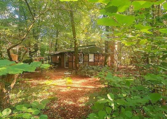 *#*OHNE PROVISION*#*TRAUMGRUNDSTÜCK IM WALD + KLEINES HAUS*NUR 30 MIN. BIS ELBBRÜCKEN *#*