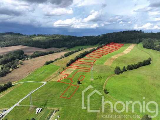 Acker und Grünland (ca. 2,6 ha) in Wilthen