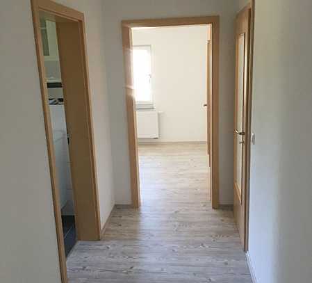 Neu sanierte Wohnung in Niederwürschnitz