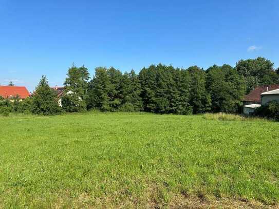 sonniges Grundstück für mögliche Photovoltaikanlage