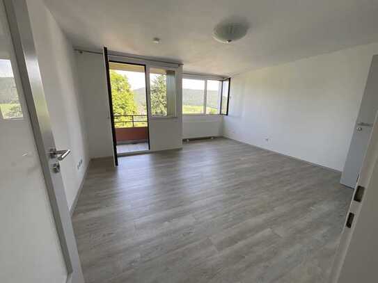 1-Zimmer Apartment mit Küche, Bad, Balkon, Keller und PKW-Stellplatz