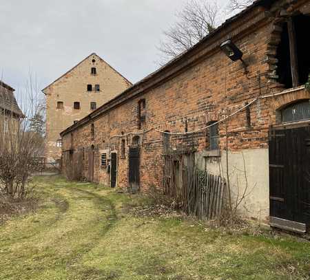 2 moderne Neubauten und2 denkmalgeschützte Sanierungsobjekte: Wohnprojekt mit Baugenehmigung Pegau