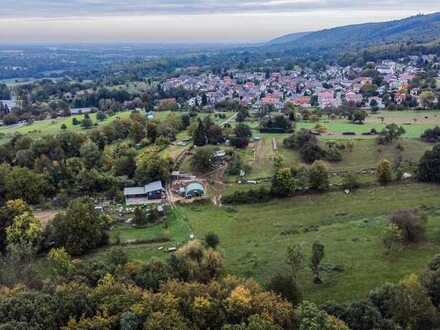 Feldweg und Landwirtschaftsfläche