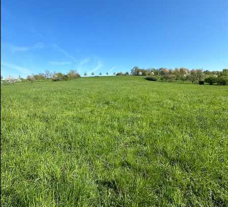 * GRÜNLAND WIESE IN ESSLINGEN: ca. 808 qm * Gewann Holzwiese * frei ab sofort! *