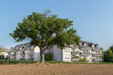 Schöne 1,5-Zimmer Maisonette-Wohnung mit Balkon - traumhafte Feldrandlage - Direkt vom Eigentümer