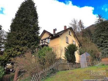 Einfamilienhaus mit großem Grundstück in Eppstein nahe des Kaisertempels