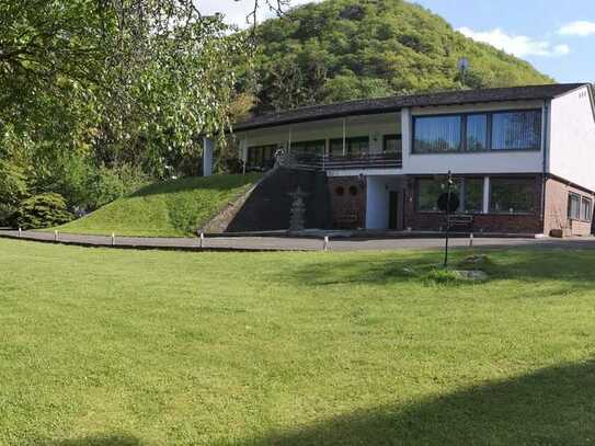 Blick zur Burg Maus - parkähnliches Grundstück mit Wohnhaus und vielfältigen Nutzungsmöglichkeiten