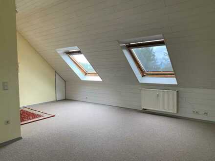 Gepflegte 30 qm Einzimmerwohnung mit EBK im Dachgeschoss in Assenheim