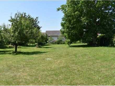 Barrierefrei, bezahlbar & selbstbestimmt leben in Ihrem Town & Country Bungalow 92 in Beverungen