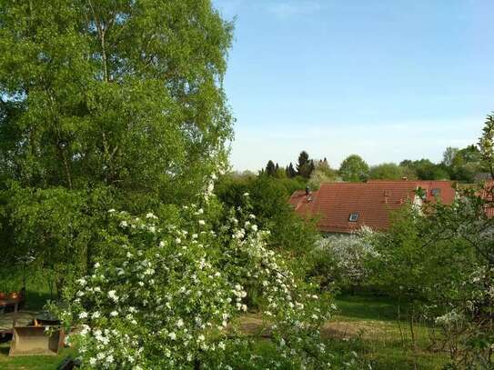 Flat with nature view in Gaiberg 10min drive from Heidelberg