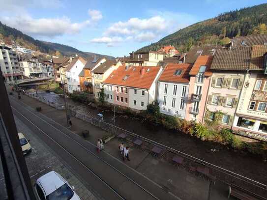 Große 3 Zimmer Whg. mit schönem Blick auf die Enz