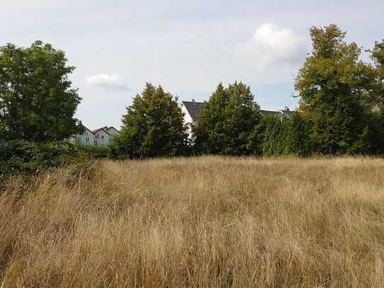 Helles, großzügiges Baugrundstück in Hartha, parzellierbar