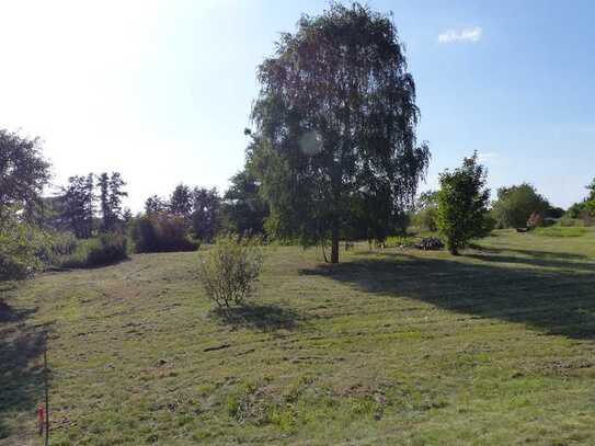 Sonniges grosszügiges Baugrundstück ohne Baubindung in Löcknitz bei Stettin