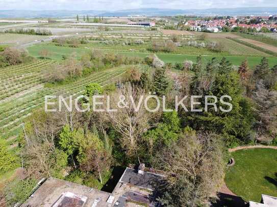 Exklusives Baugrundstück mit fantastischem Blick zum Taunus in Mainz Lerchenberg