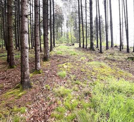 Wald- und Landwirtschafsfläche in Waidhaus