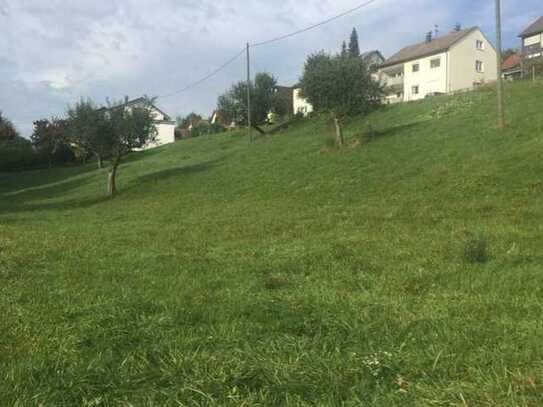 Ideal für Projektentwickler. Großes, teilbares Baugrundstück in beliebter Lage